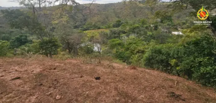 PMDF identifica supressão ilegal de vegetação nativa em área de preservação permanente na zona rural de Ceilândia