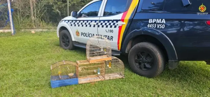 PMDF Flagra Reincidente por Crime contra a Fauna no Varjão
