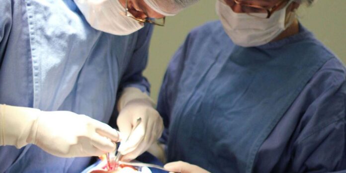 Fissura labiopalatina requer tratamento precoce e abordagem multidisciplinar