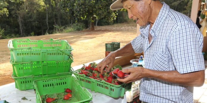 Finep destina R$ 220 milhões para inovações na agricultura familiar
