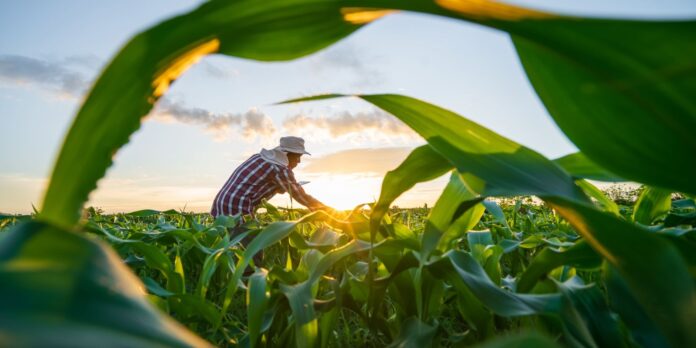 MP sobre dívida rural prioriza perdas climáticas, afirma Durigan