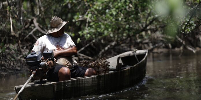 INSS desembolsa R$ 874 milhões para 149,5 mil pescadores em julho