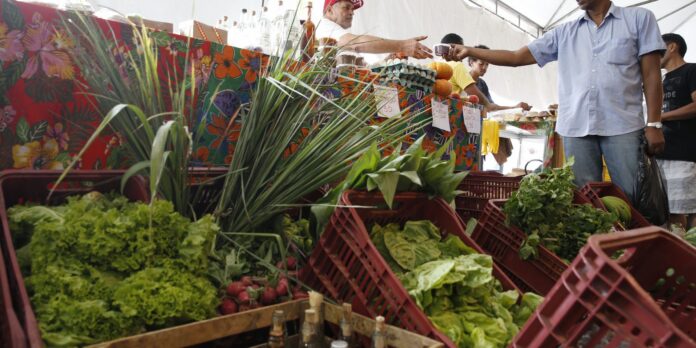 Decreto prorroga prazo para exigência de CNPJ para autônomos e produtores rurais