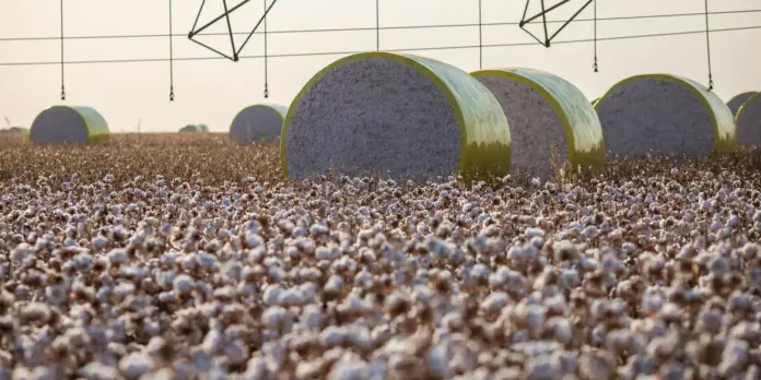 Mudança no mapa reduz participação de Sorriso na produção agrícola