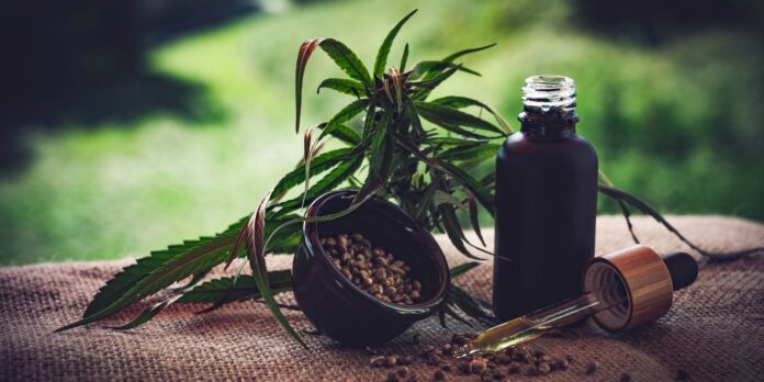 Associações apontam lacunas nas normas sobre cannabis