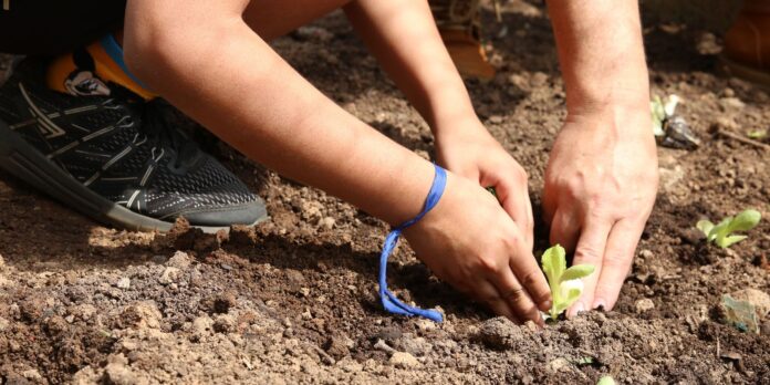 Entidades solicitam apoio de candidatos para a defesa da agroecologia