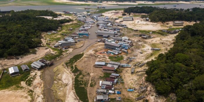 Seca na Amazônia atingiu 38% das áreas habitadas no último El Niño