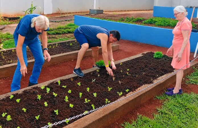 Horta terapêutica auxilia pacientes na recuperação da autonomia durante reabilitação em Goiás