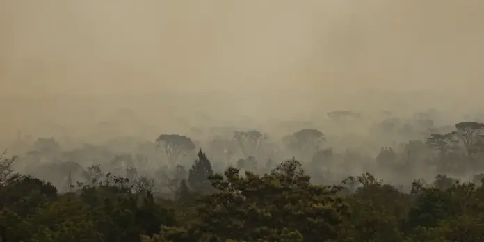 Força Nacional do SUS presta apoio a atendimentos no Amazonas após incêndios
