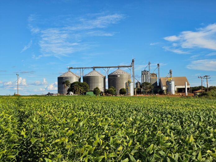 Produtividade da soja em Goiás aumenta 15,4% na última década